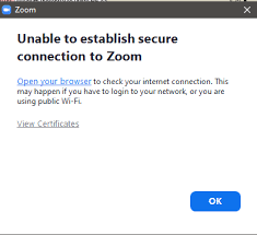 Common Reasons Why You’re Unable to Establish a Secure Connection to Zoom