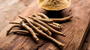 The History and Origins of Ibogaine as a Therapeutic Tool