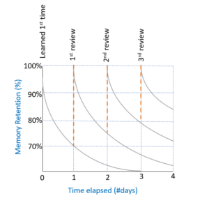 Anki Flashcards: How Spaced Repetition Can Power Your Language Learning