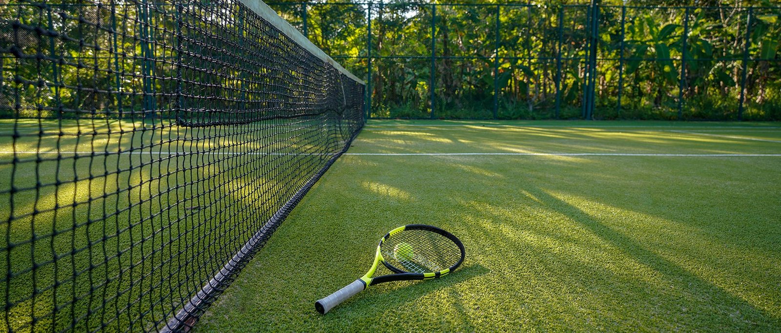 The Future of Lawn Care: Why Established Artificial Grass Manufacturers Earn Your Trust